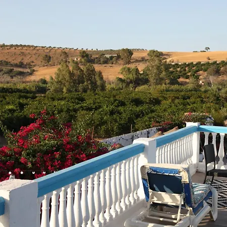 The Dragonfly Retreat Apartament Malaga