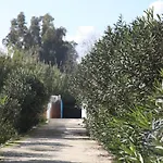 The Dragonfly Retreat מאלגה