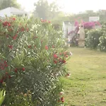 דירה The Dragonfly Retreat