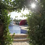 דירה The Dragonfly Retreat