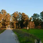 דירה The Dragonfly Retreat *