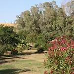 The Dragonfly Retreat מאלגה