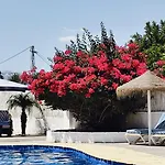 The Dragonfly Retreat * מאלגה