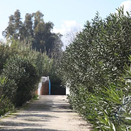 The Dragonfly Retreat Μάλαγα