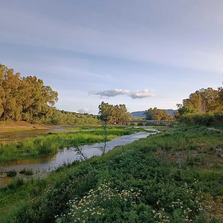 The Dragonfly Retreat Μάλαγα