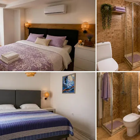 The Dragonfly Retreat *