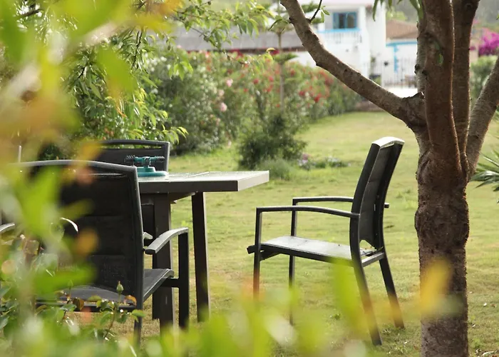 The Dragonfly Retreat Apartment