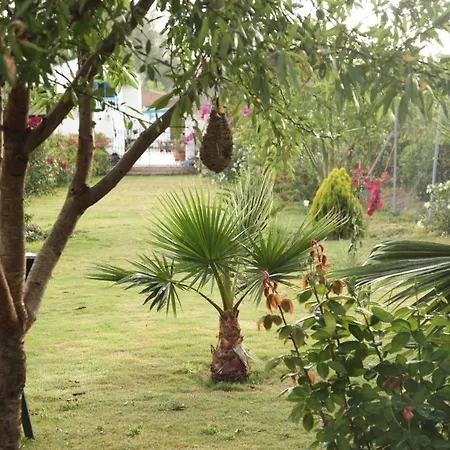 Apartamento The Dragonfly Retreat *